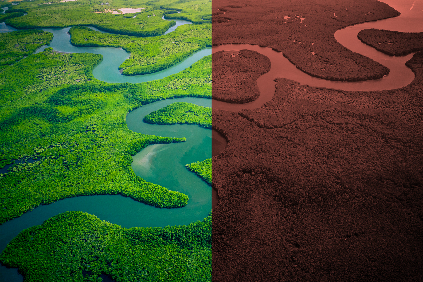 1800x1200_GettyImages-1190336132_retouch_1.jpg