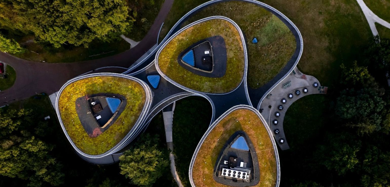 Roof_canopy_swirls_compressed.jpg