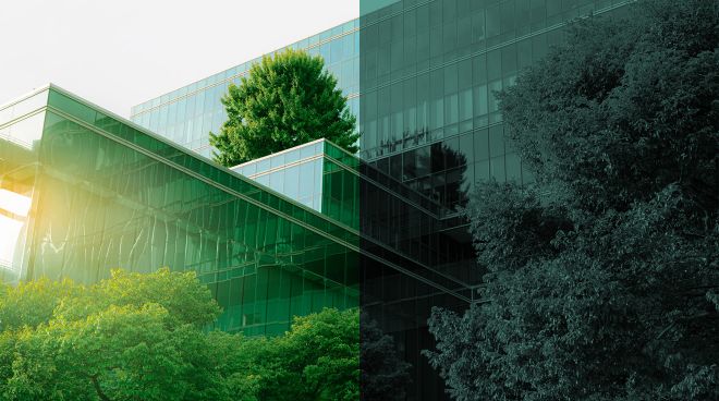 Social_Cards_Exports_Trees.jpg