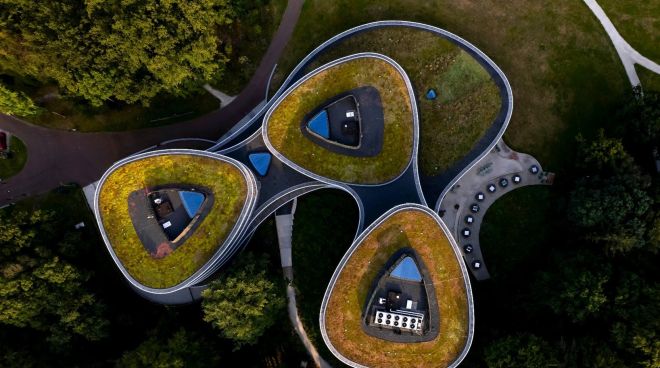 Roof_canopy_swirls_compressed.jpg